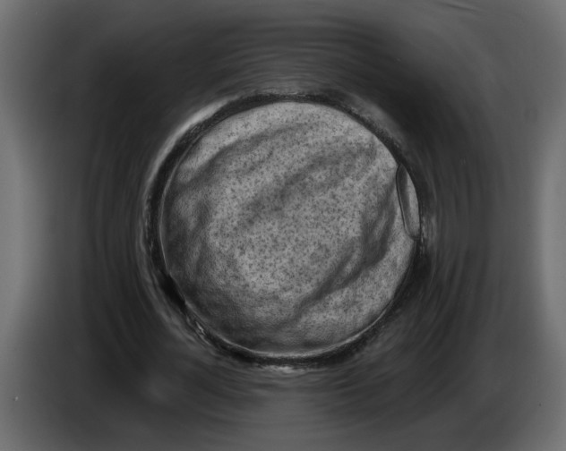 X0000086000724200704131804