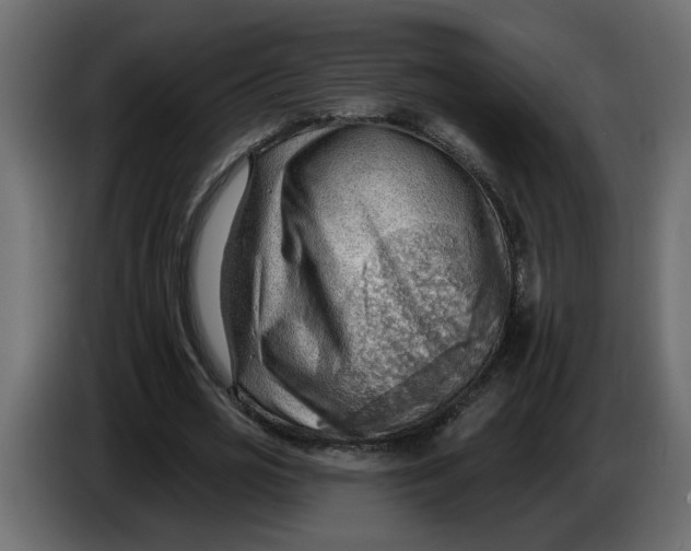 X0000086000725200704131804