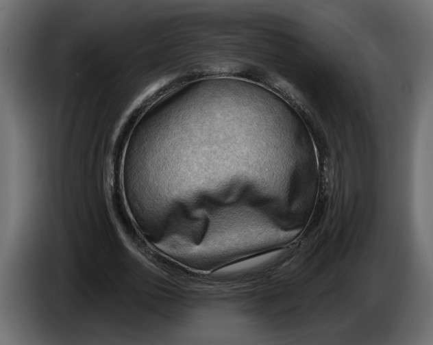 X0000086000726200704131804