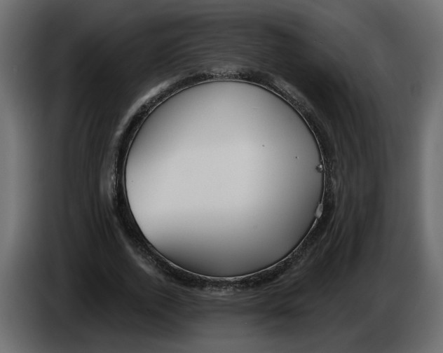 X0000086000728200704131805