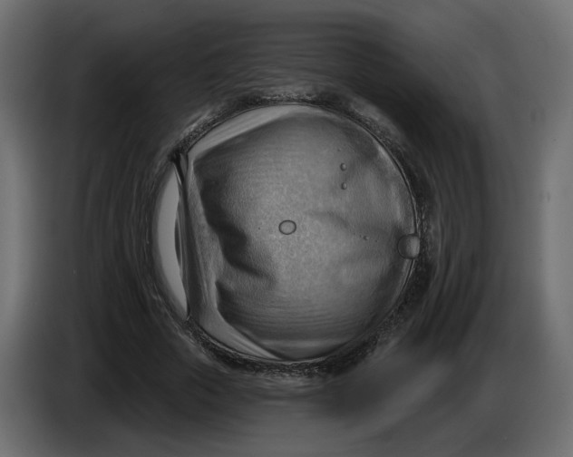 X0000086000729200704131805