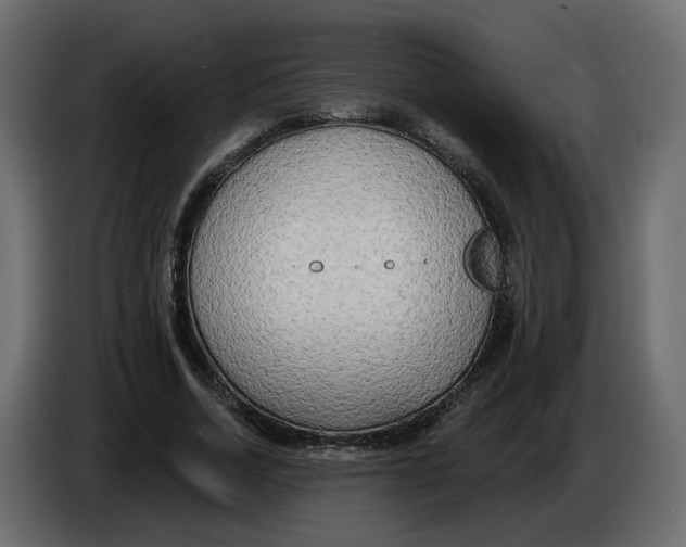 X0000086000730200704131805