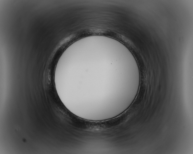 X0000086000731200704131805