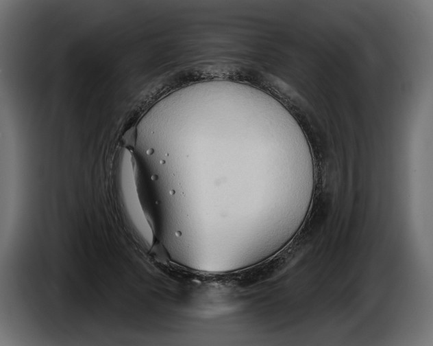 X0000086000737200704131805