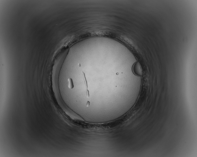 X0000086000738200704131805