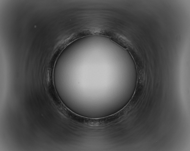 X0000086000740200704131805