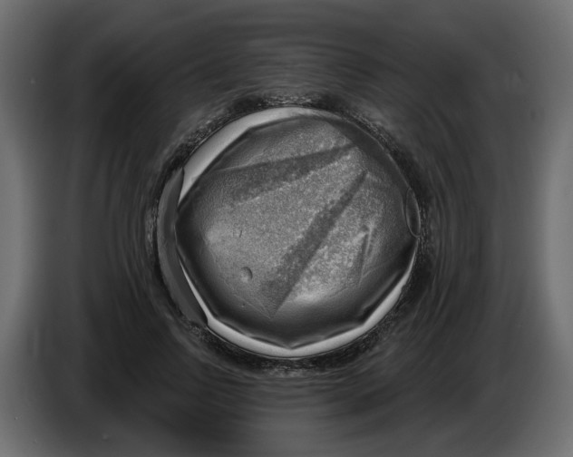 X0000086000742200704131805