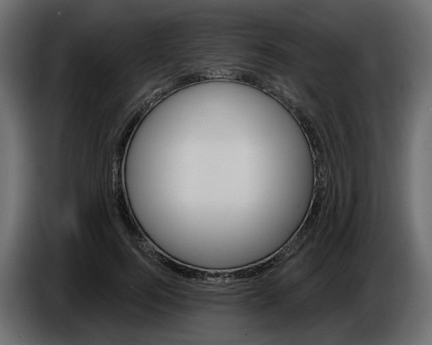 X0000086000744200704131805