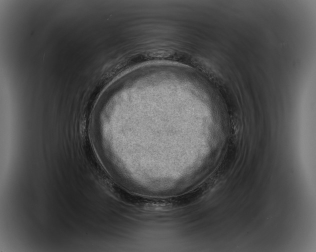 X0000086000745200704131805