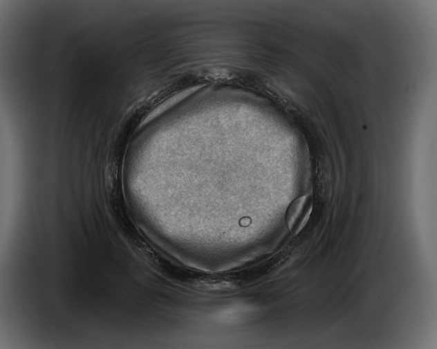 X0000086000747200704131805