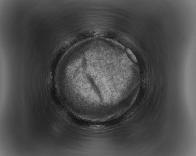 X0000086000748200704131805