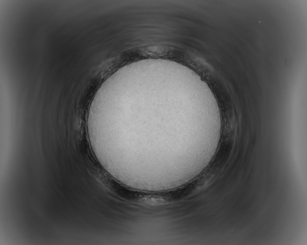 X0000086000749200704131805