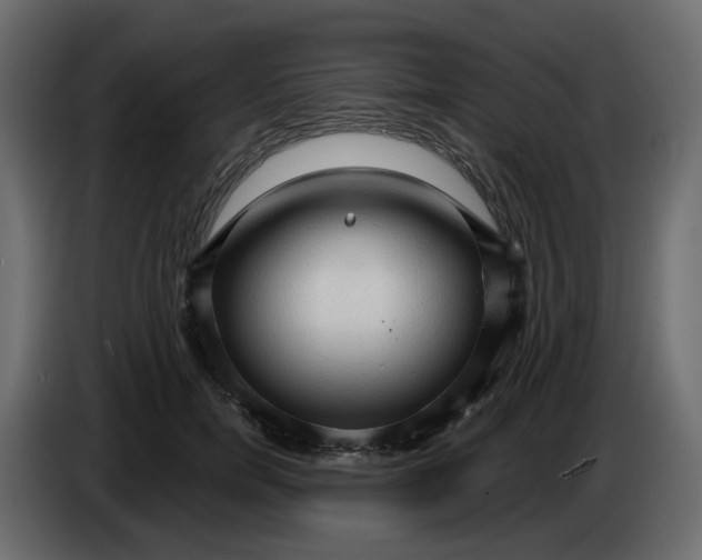 X0000086000750200704131805