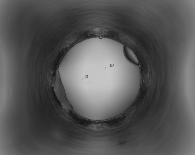 X0000086000752200704131805