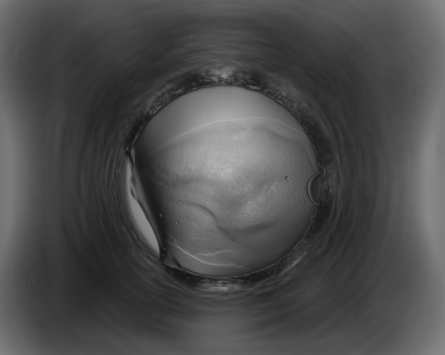 X0000086000754200704131805