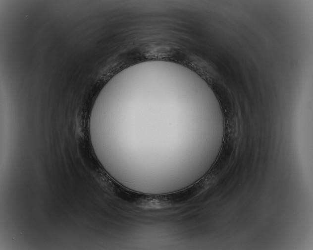 X0000086000755200704131805