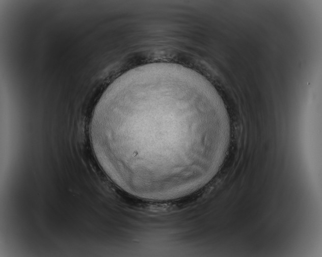 X0000086000757200704131805