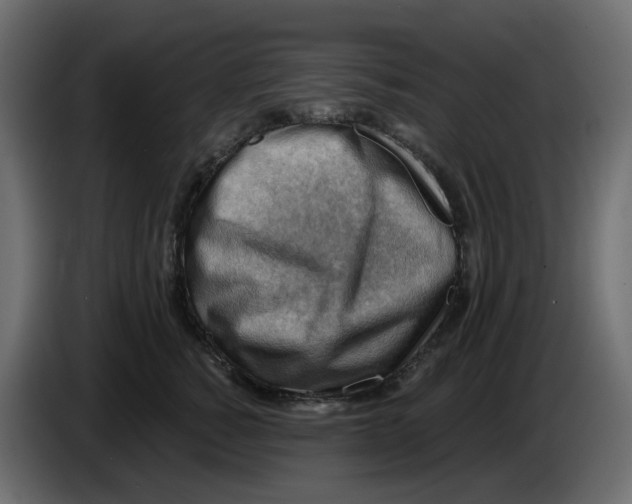 X0000086000760200704131805