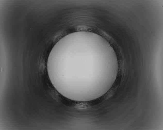 X0000086000761200704131805