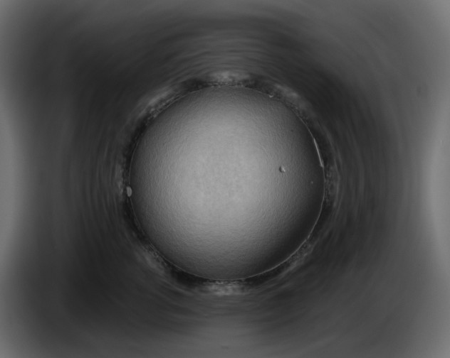 X0000086000762200704131805