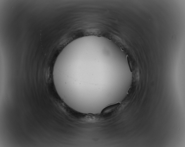 X0000086000764200704131805