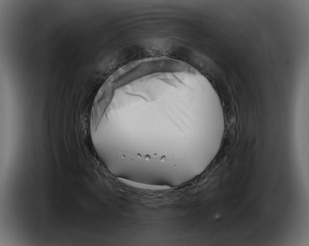 X0000086000772200704131804