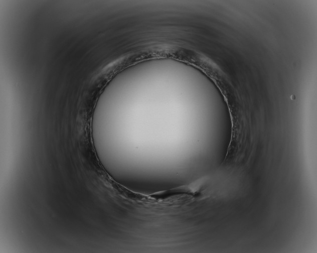 X0000086000773200704131804