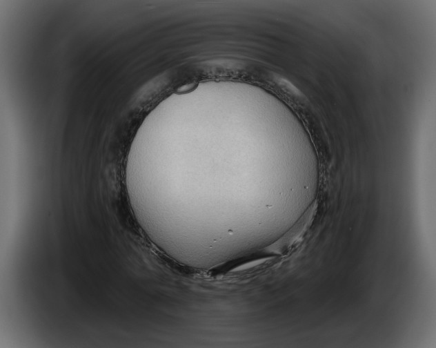 X0000086000774200704131804