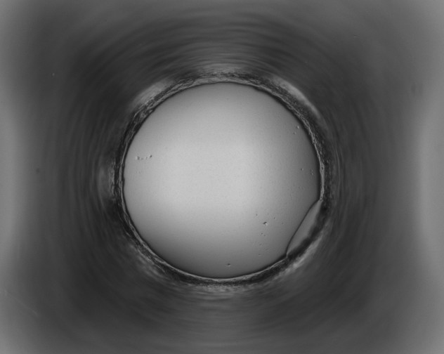 X0000086000777200704131804