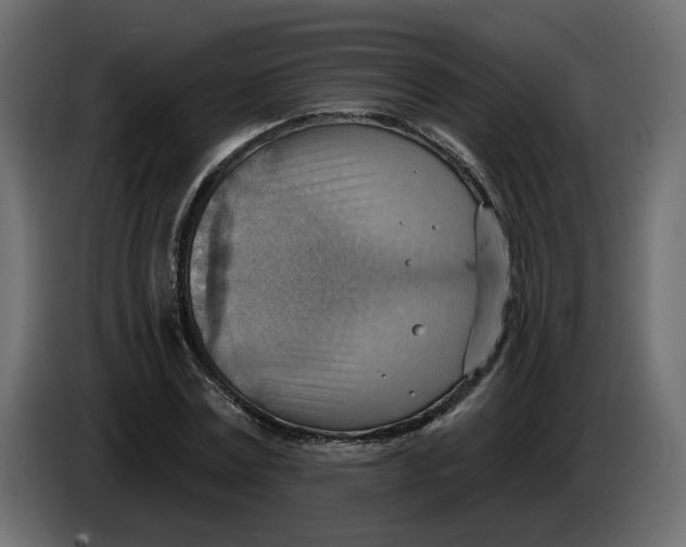 X0000086000779200704131804