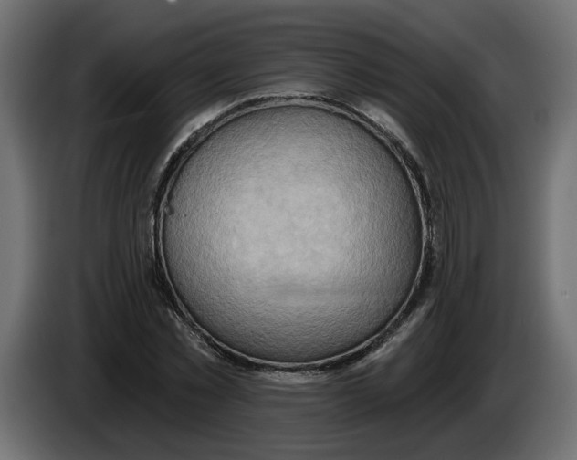 X0000086000781200704131804