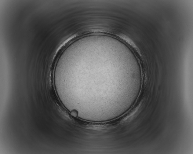 X0000086000782200704131804