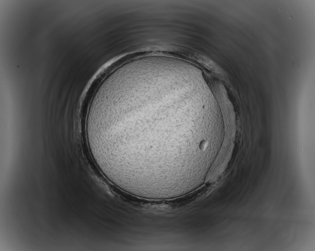 X0000086000784200704131804