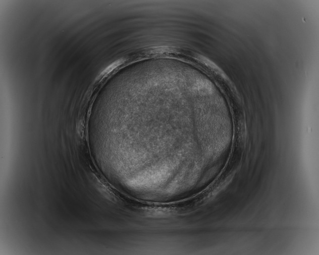 X0000086000785200704131804