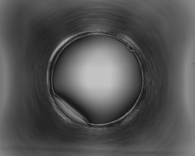 X0000086000788200704131804