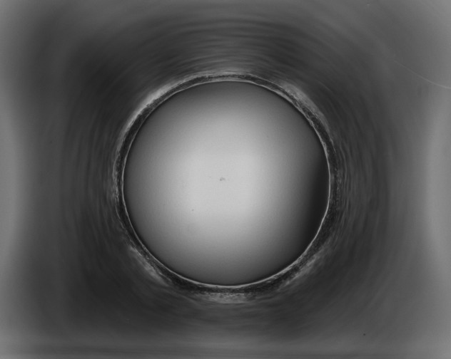 X0000086000789200704131804