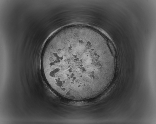 X0000086000791200704131804