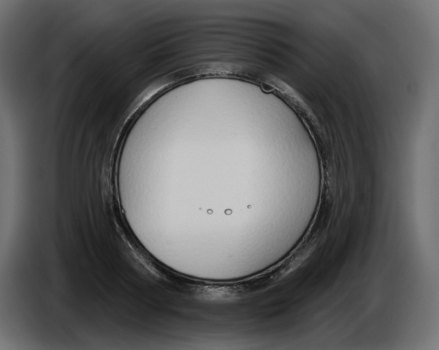 X0000086000794200704131804