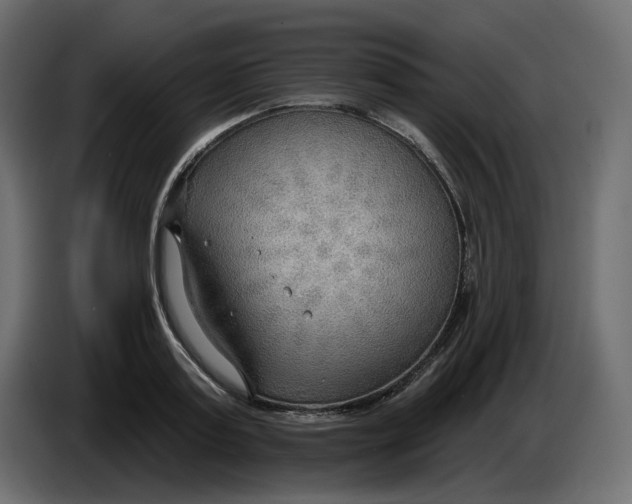 X0000086000795200704131804