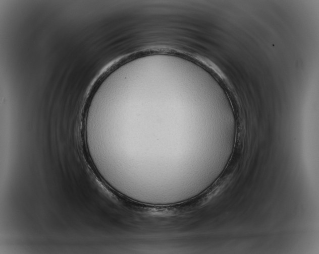 X0000086000799200704131804