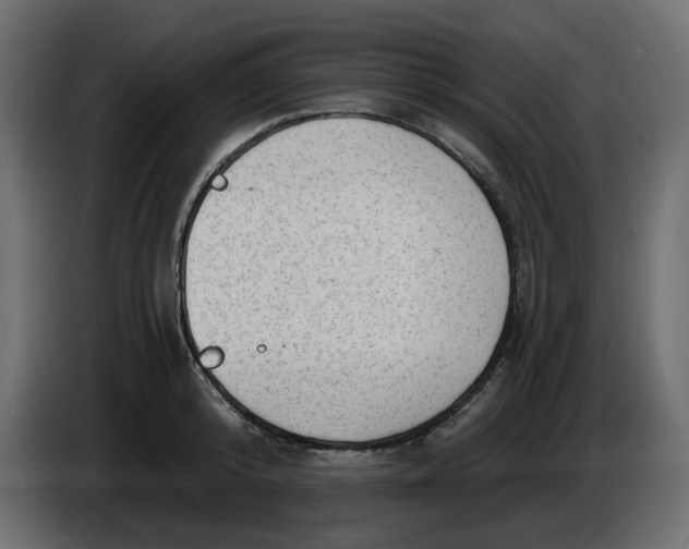 X0000086000800200704131804