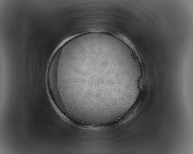 X0000086000803200704131804