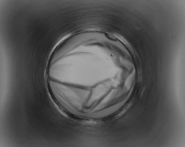 X0000086000806200704131804