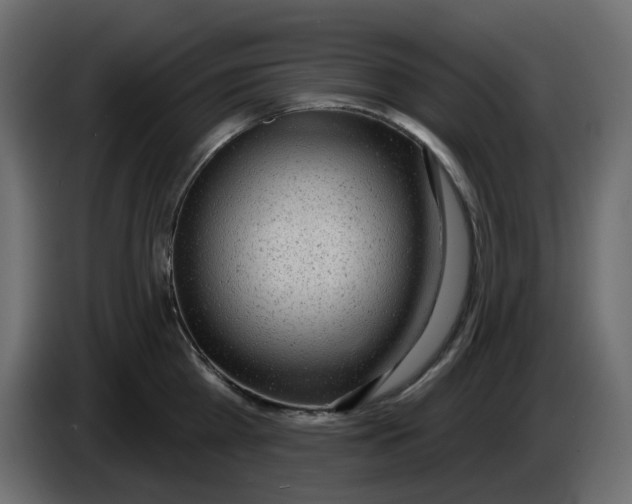 X0000086000809200704131804