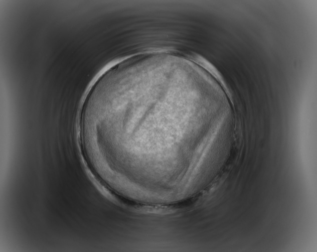 X0000086000811200704131804