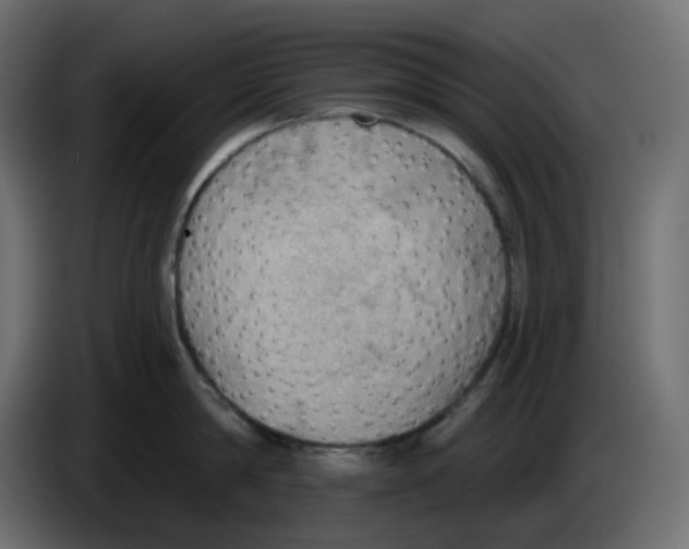 X0000086000814200704131804