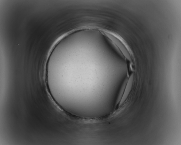 X0000086000815200704131804