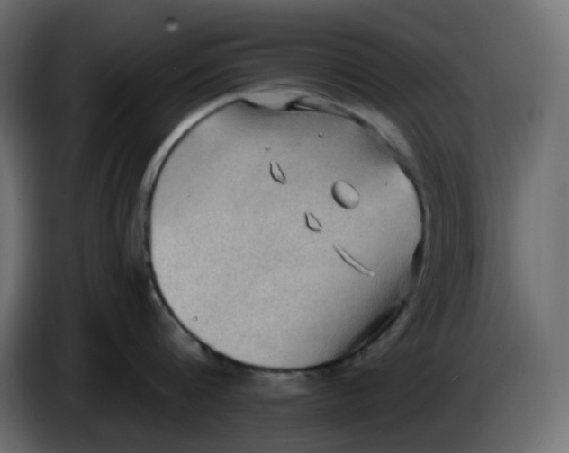 X0000086000816200704131804