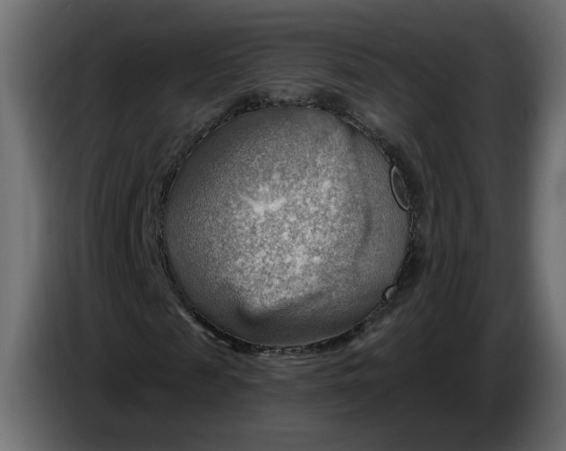 X0000086000817200704131803