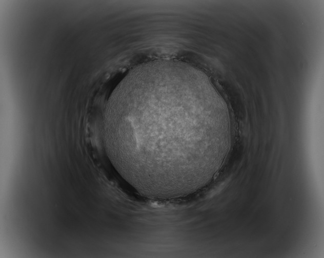 X0000086000818200704131803